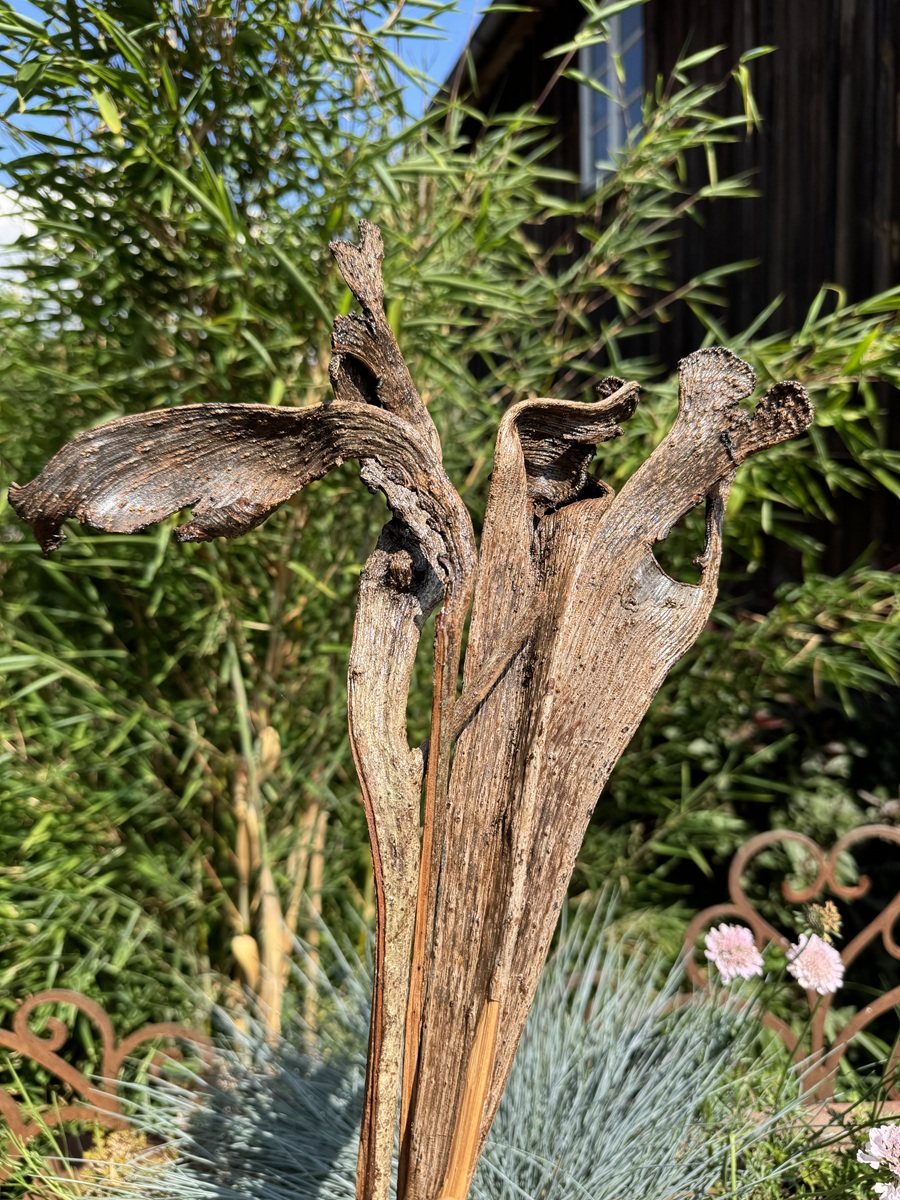 4 Geweihhölzer naturgeformt - Länge ca. 40 - 60 cm
