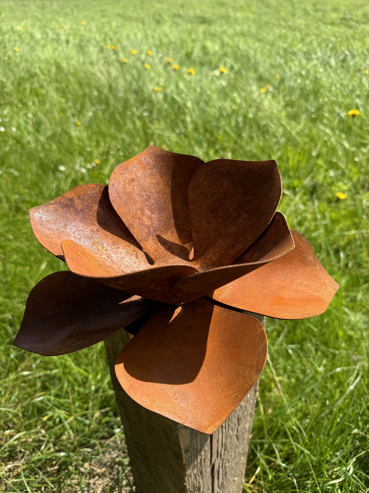Edelrost Blüte groß auf Bodenplatte - Durchmesser 24 cm