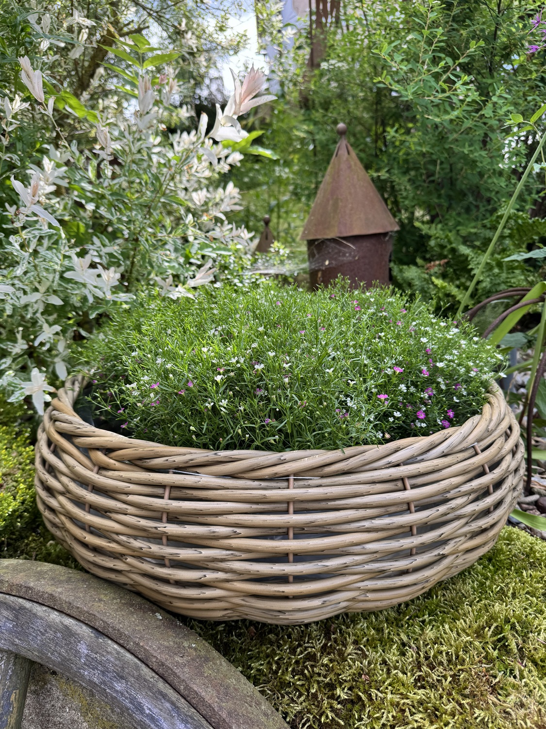 Kunststoff Rattan-Optik Pflanz Schale rund naturfarben mit Folie - Durchmesser 50 cm