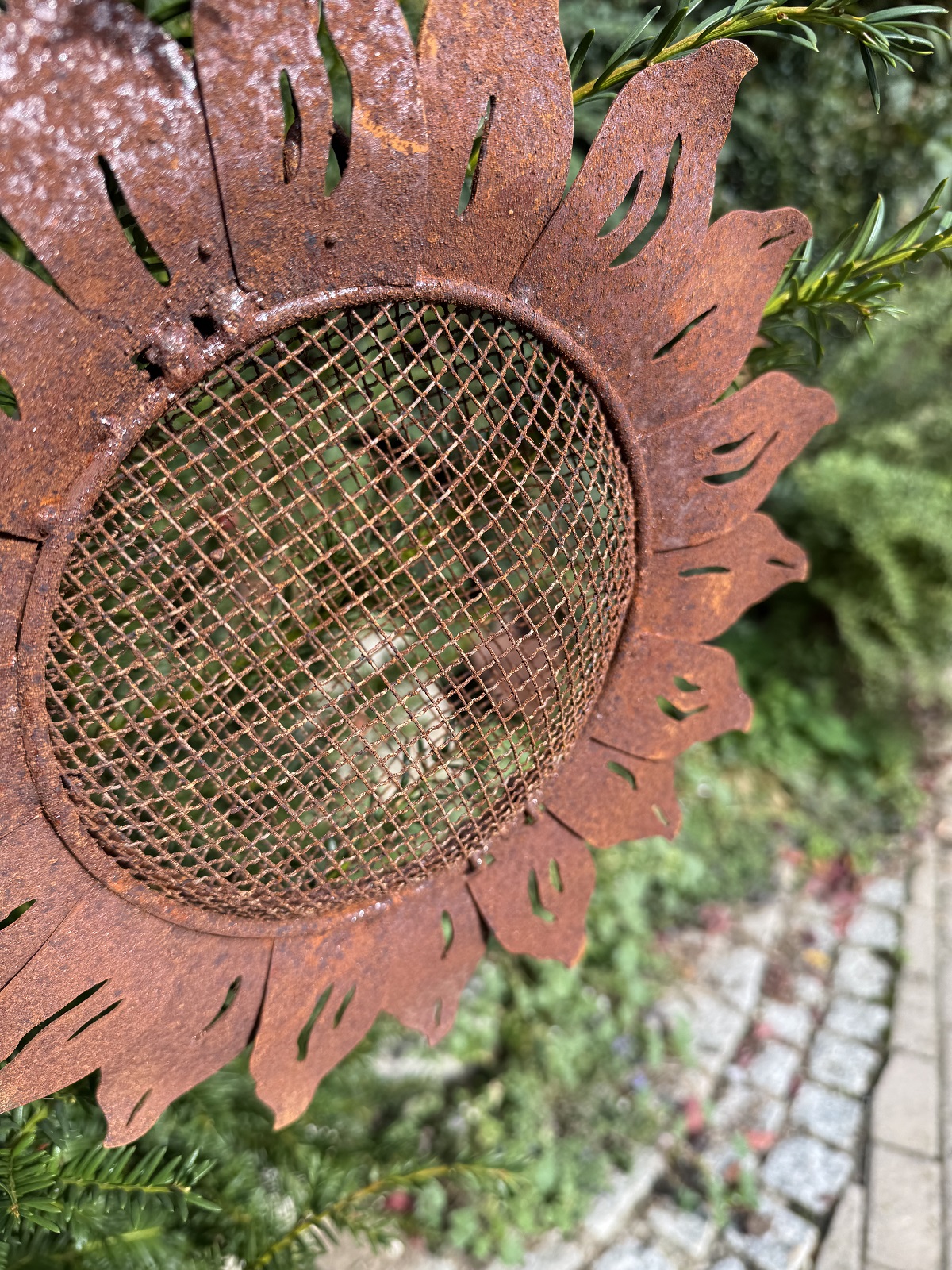 Edelrost Futterstelle Sonnenblume an Kette zum Hängen - Durchmesser 32 cm