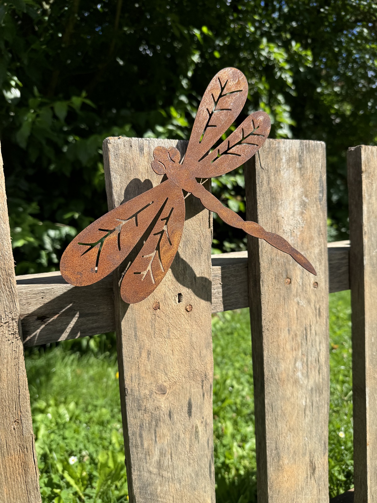 Edelrost Libelle groß mit Schraube für Holz - Breite 25 cm