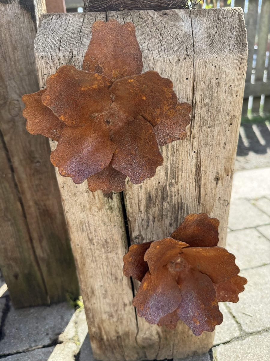 Edelrost Blüte klein mit Schraube - Durchmesser ca. 14 cm