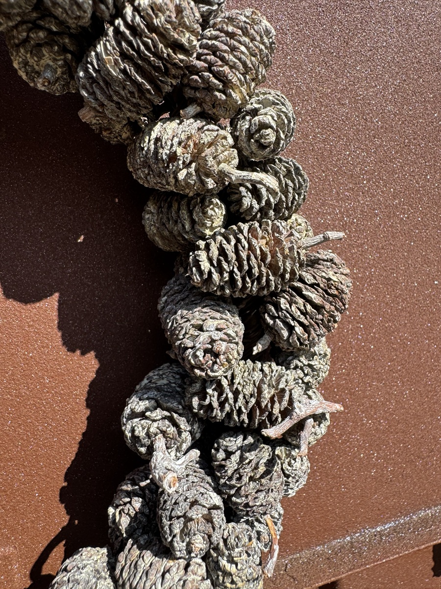Erlenkranz groß  Naturbelassen - Durchmesser 25 cm