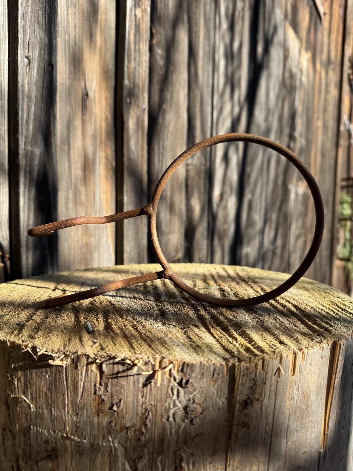 Edelrost Wandhalter Ring groß mit Haken für Blumentöpfe - Durchmesser 20 cm