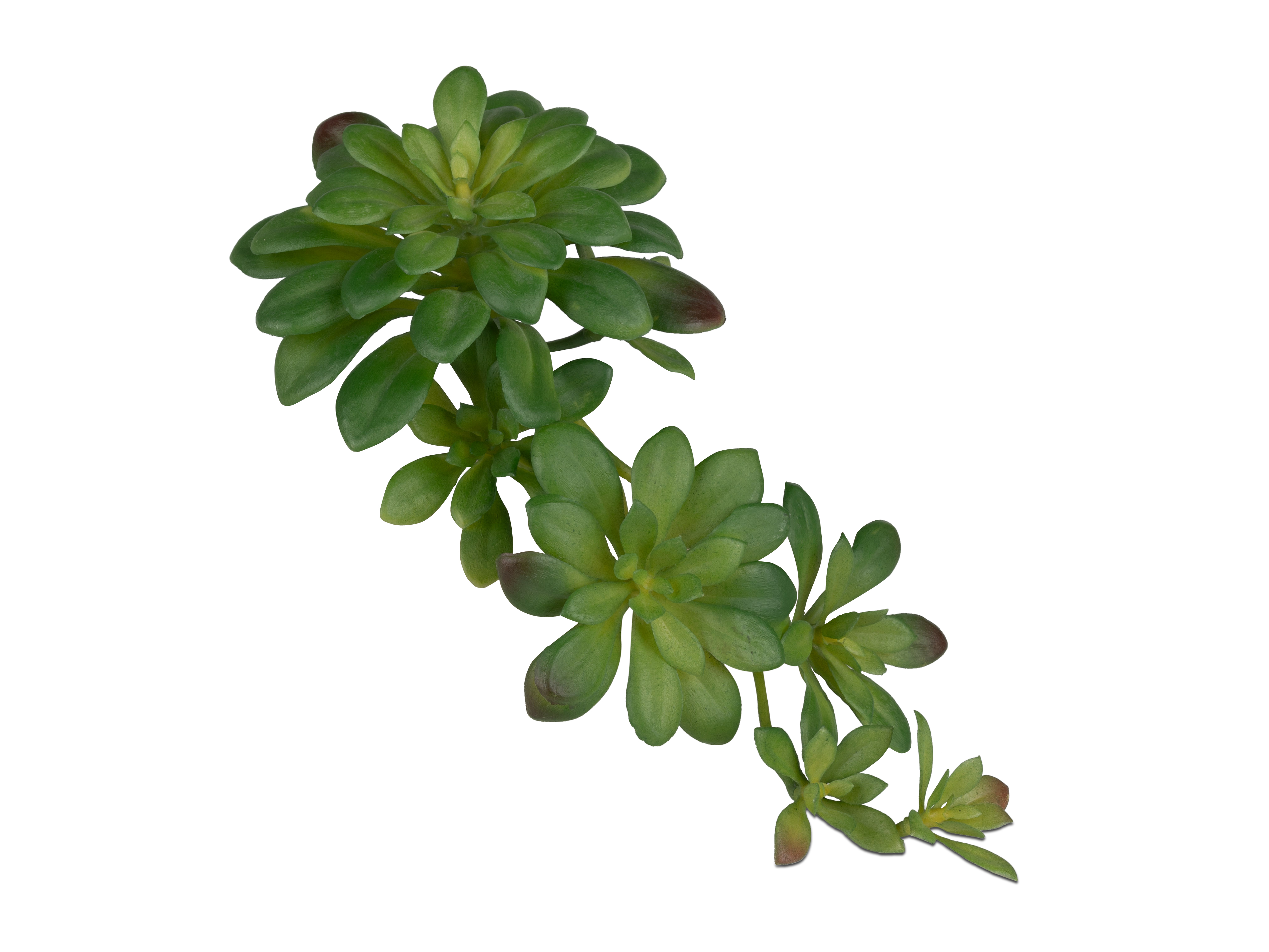 Kunstpflanze Sukkulente mit Ablegern - Länge ca. 30 cm