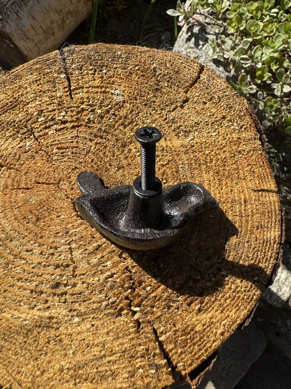 Gusseisen Knauf Vogel - Höhe 3 cm