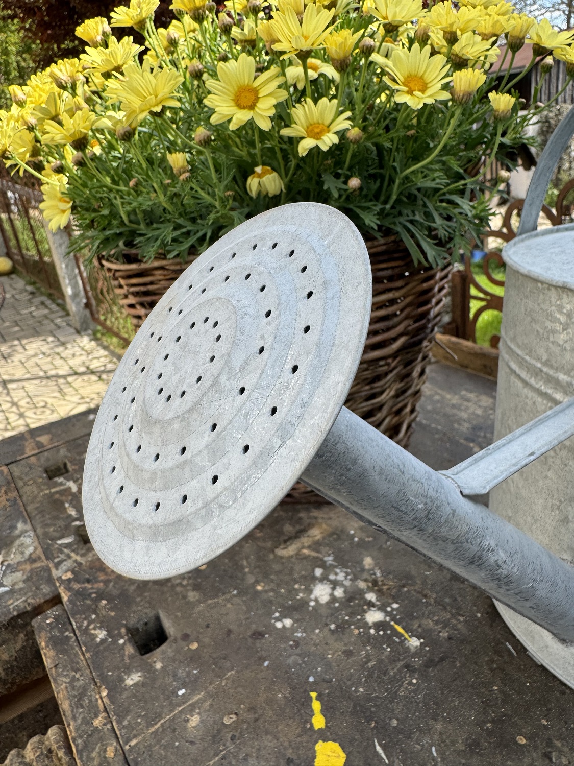 Zink Gießkanne mittel 6,5 Liter mit Brausekopf Liter - Höhe 29 cm