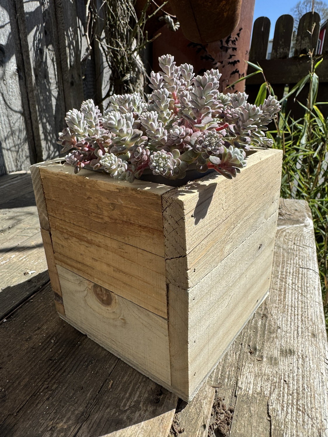 Holz Pflanzkiste klein mit Folieneinsatz - 13 cm