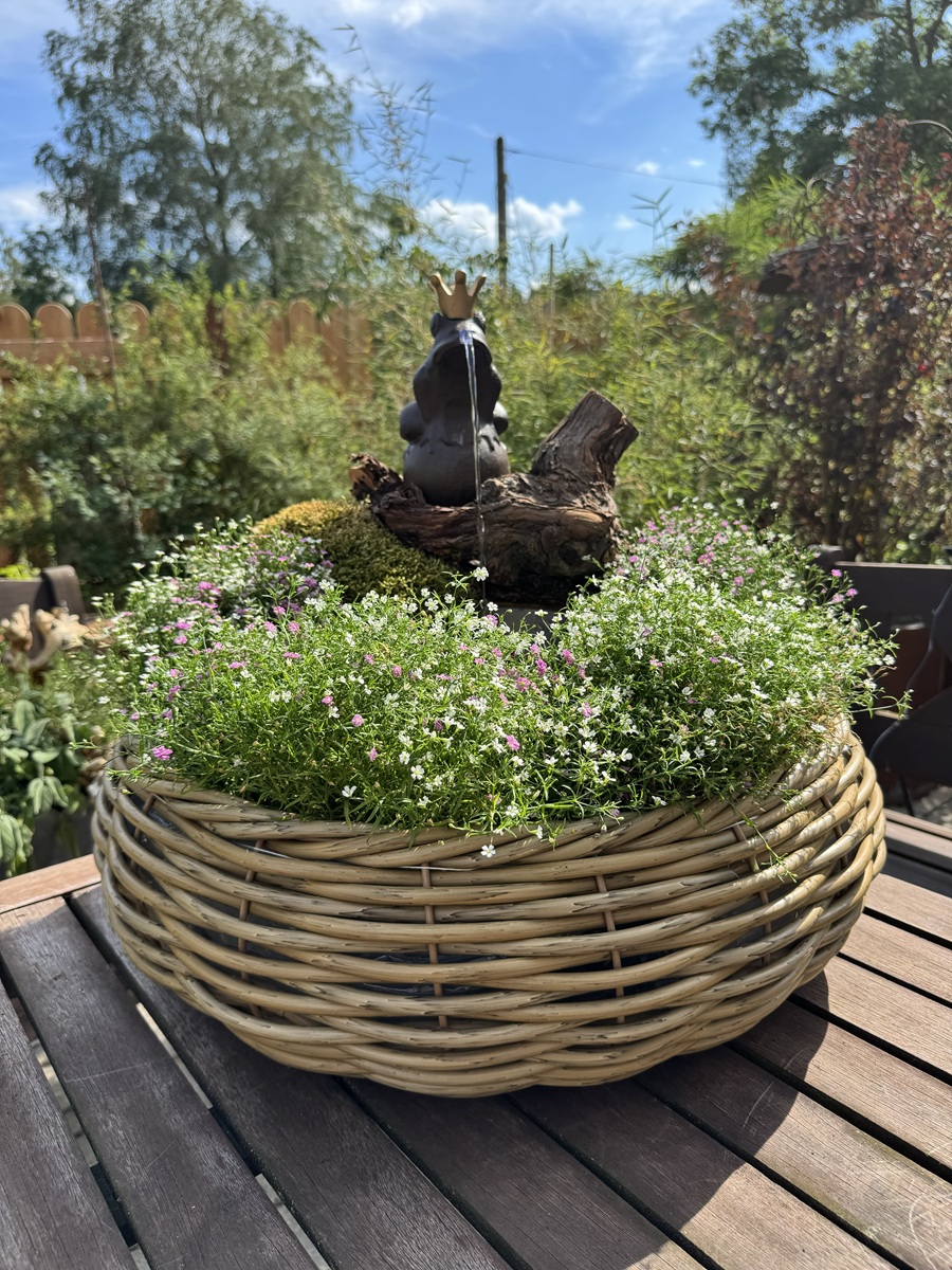 Wasserspeier Froschkönig Theo mit goldener Krone auf Kugel - Höhe 22 cm