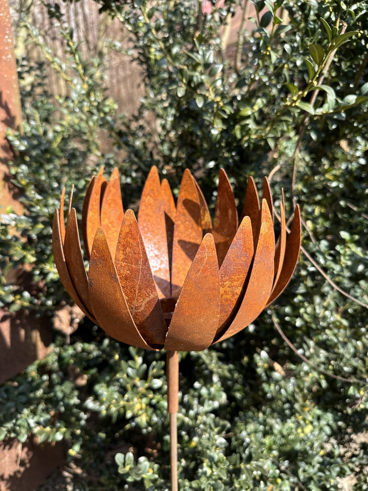 Edelrost Chrysantheme mit Teelichthalter und Hülse - Durchmesser offen ca. 32 cm