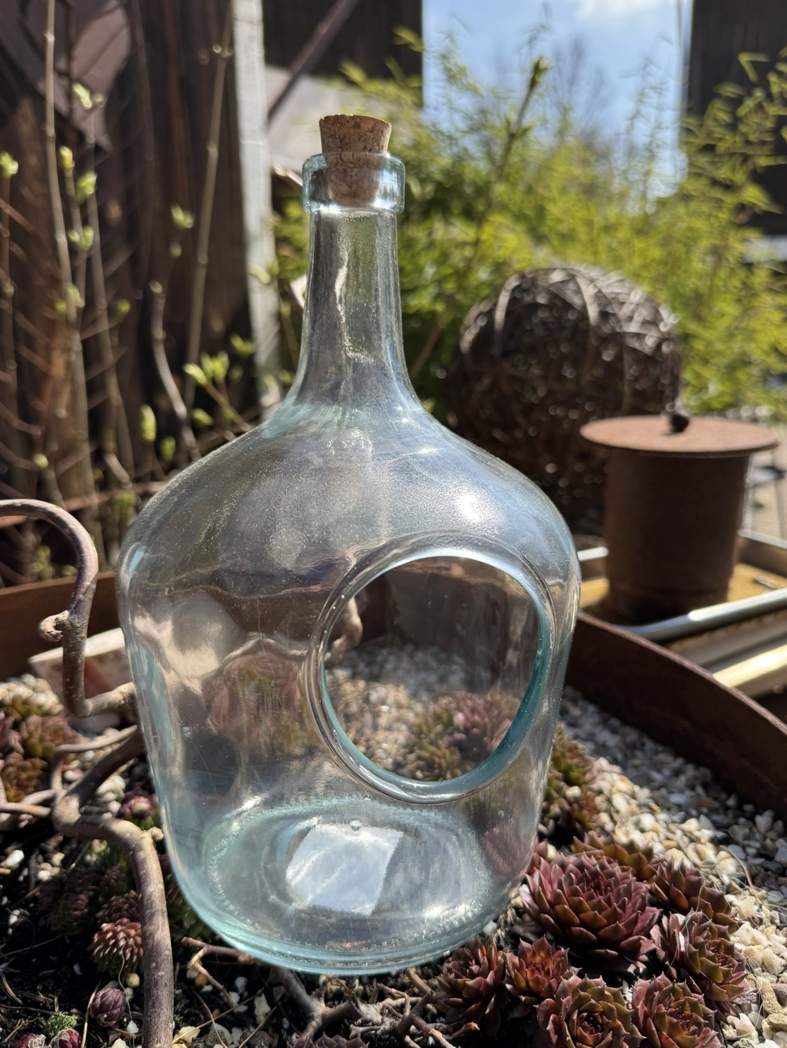 Terrariumflasche 3L Glas 30 cm – Dekoflasche mit Korkdeckel & Flaschengarten