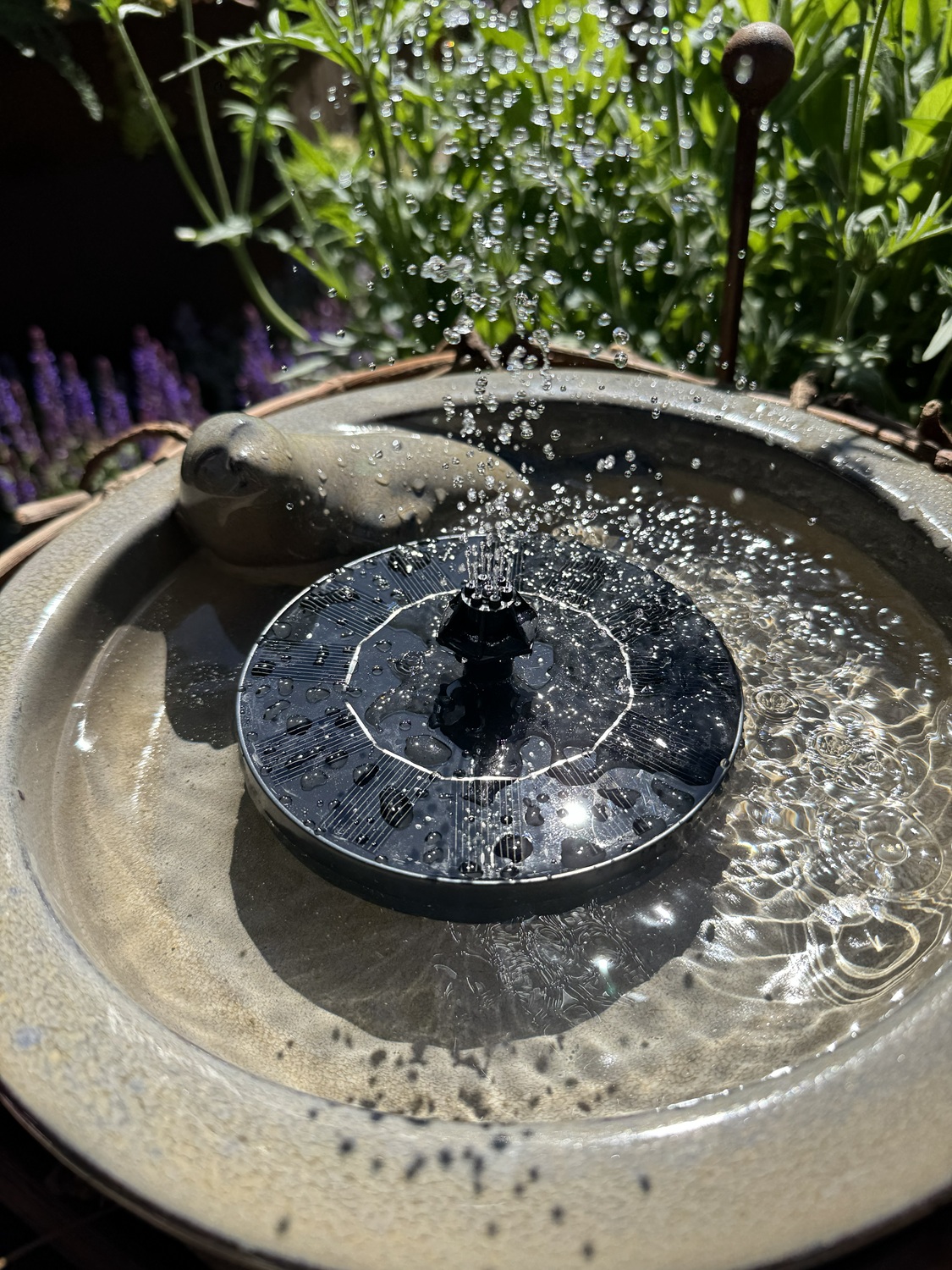 Solarfontäne für Gartendeko / Vogeltränken - Durchmesser 13 cm