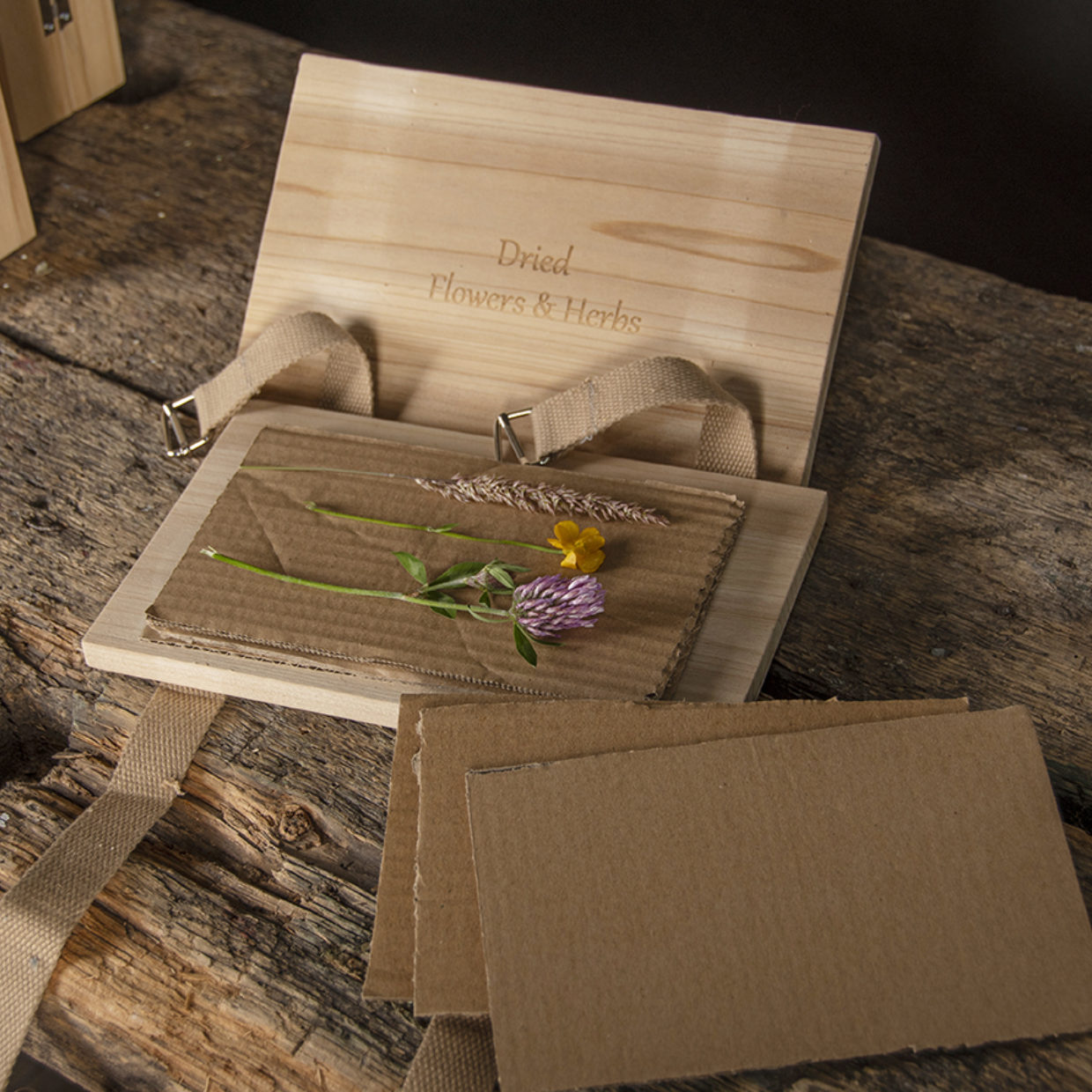 Holz Blumen- und Kräuterpresse mit Bändern - Breite 23,2 cm