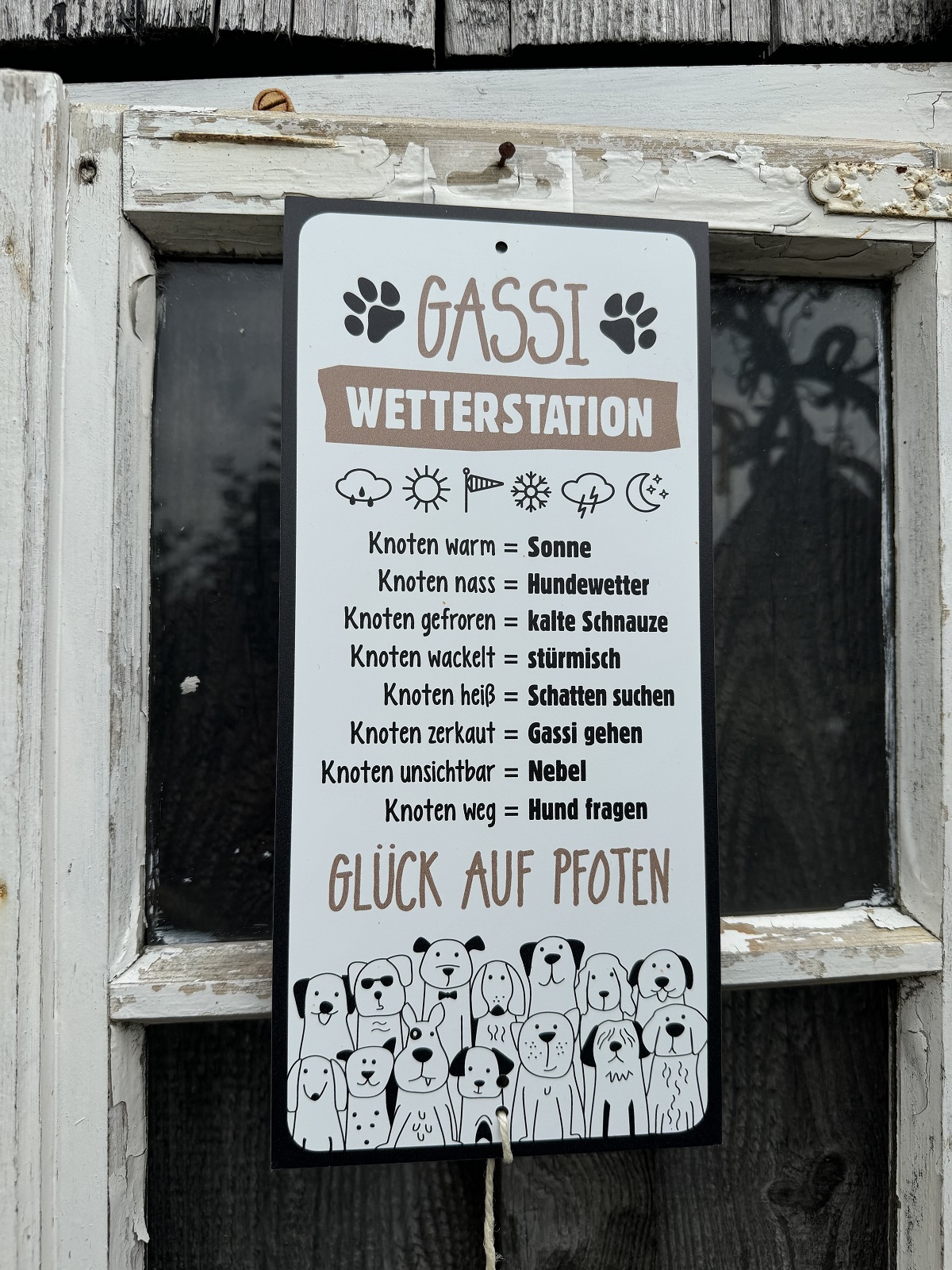 Aluminium Wetterstation mit Hundeseil zum Hängen - Gassi