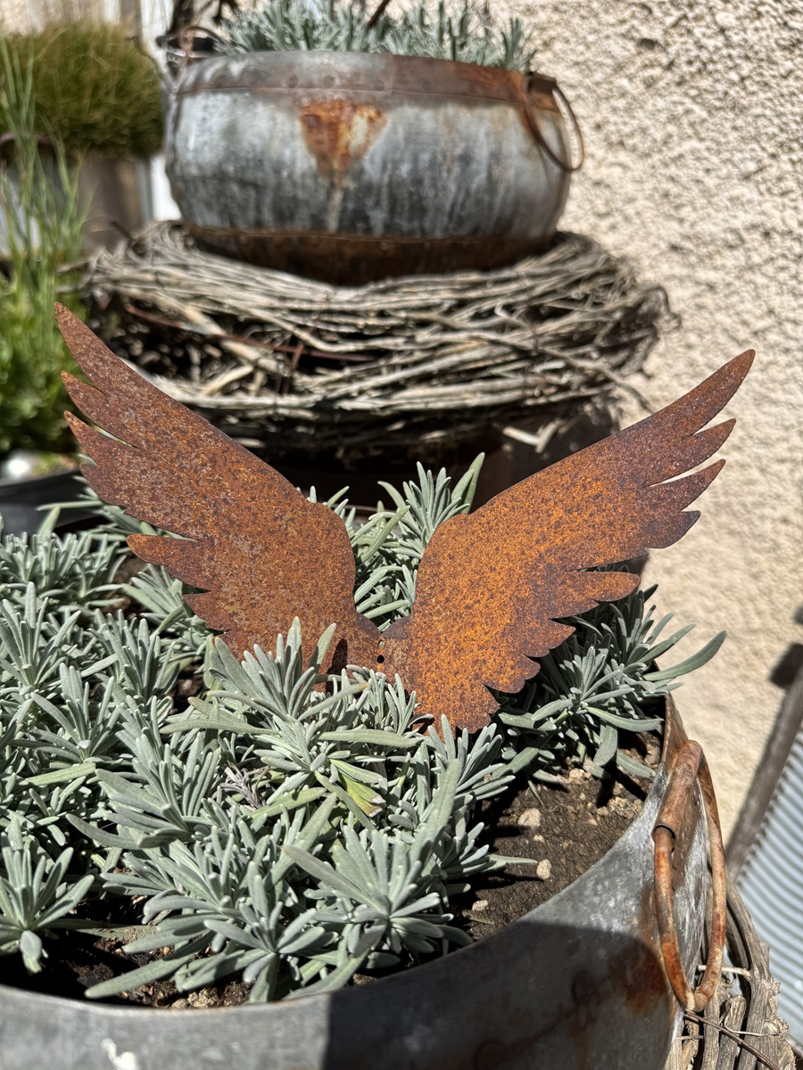Edelrost Flügel geschlossene Form nach oben - Breite 23 cm