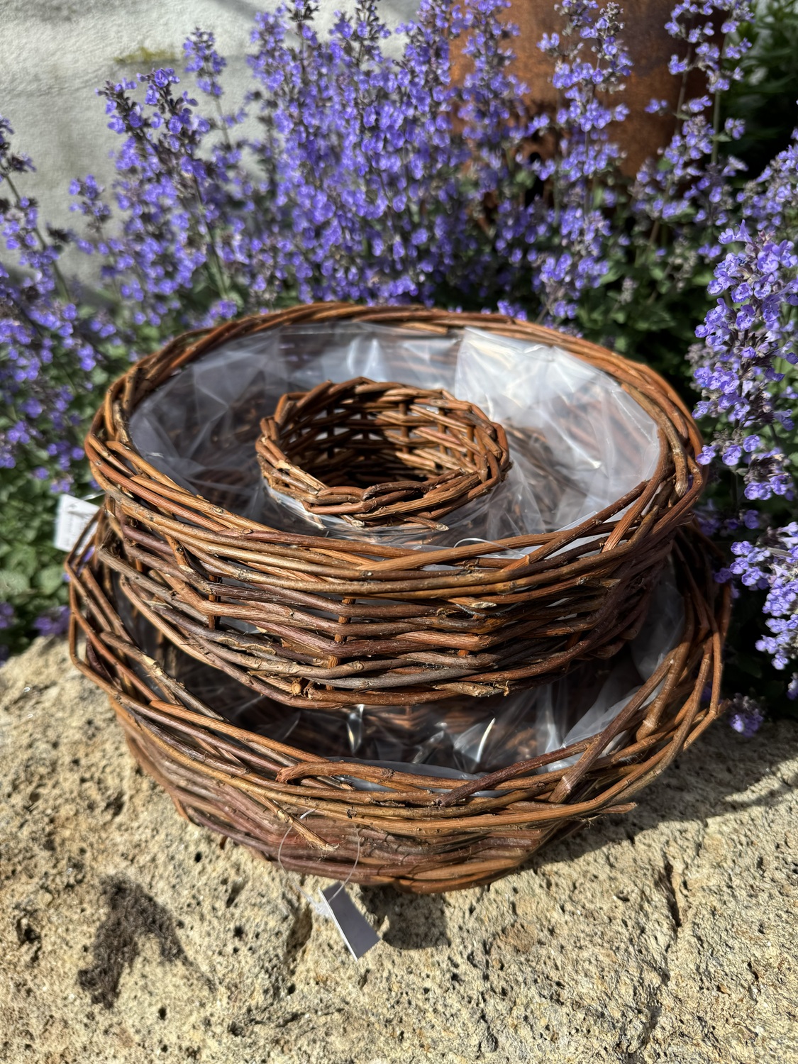 2tlg. Pflanzring Weide naturfarben - Durchmesser 25/30 cm