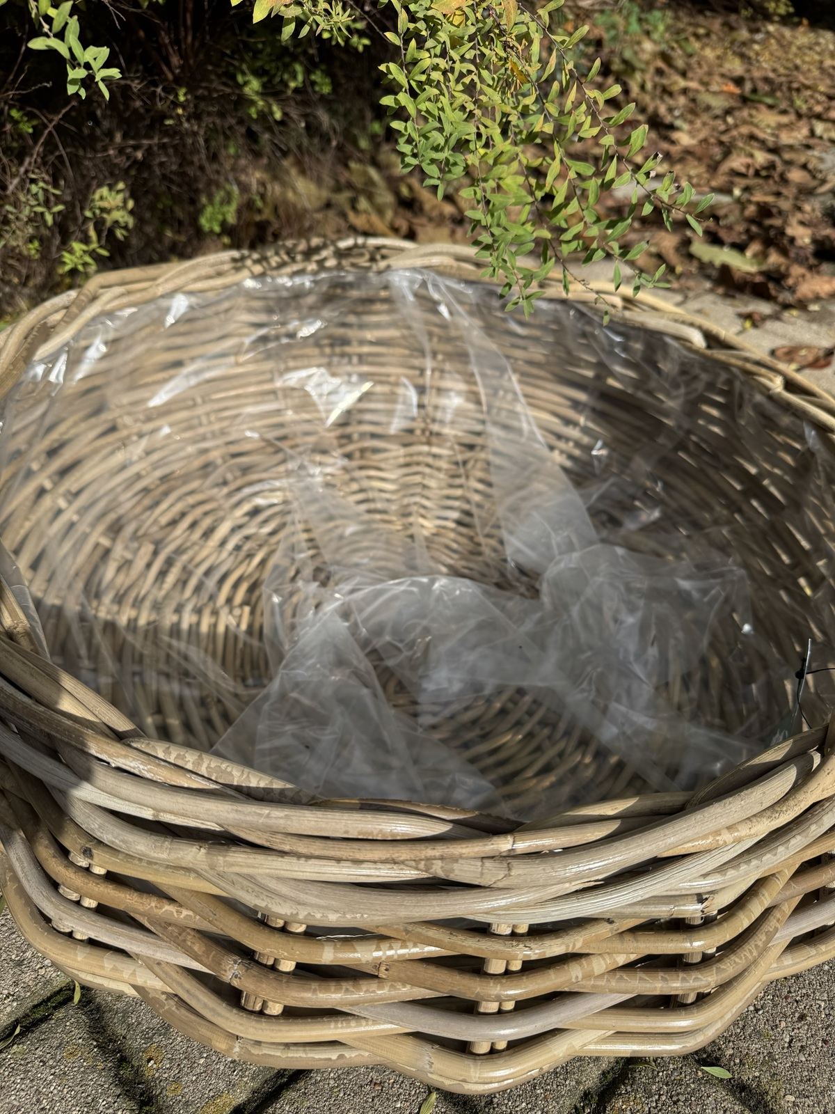 Pflanz Schale Rattan groß Outdoor mit Folie - Durchmesser 50 cm