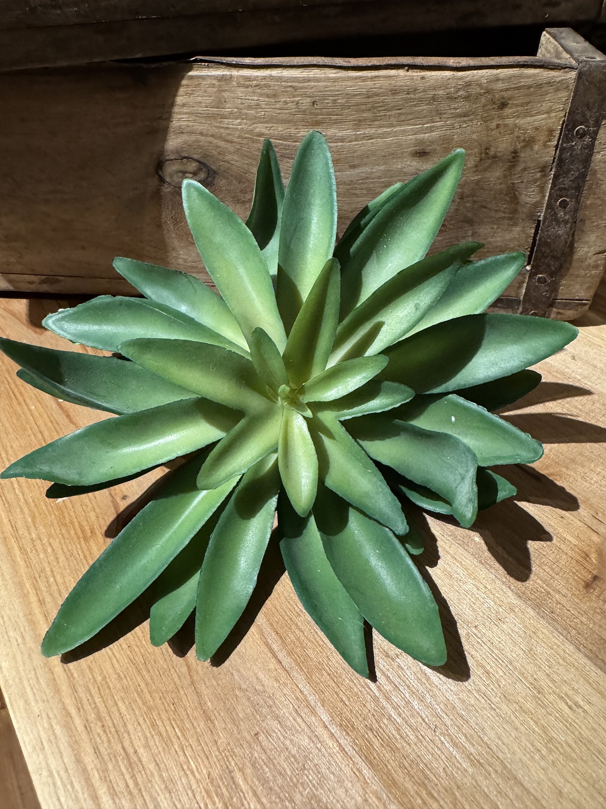 Kunstpflanze Aeonium Sukkulente grün - Durchmesser ca. 14 cm