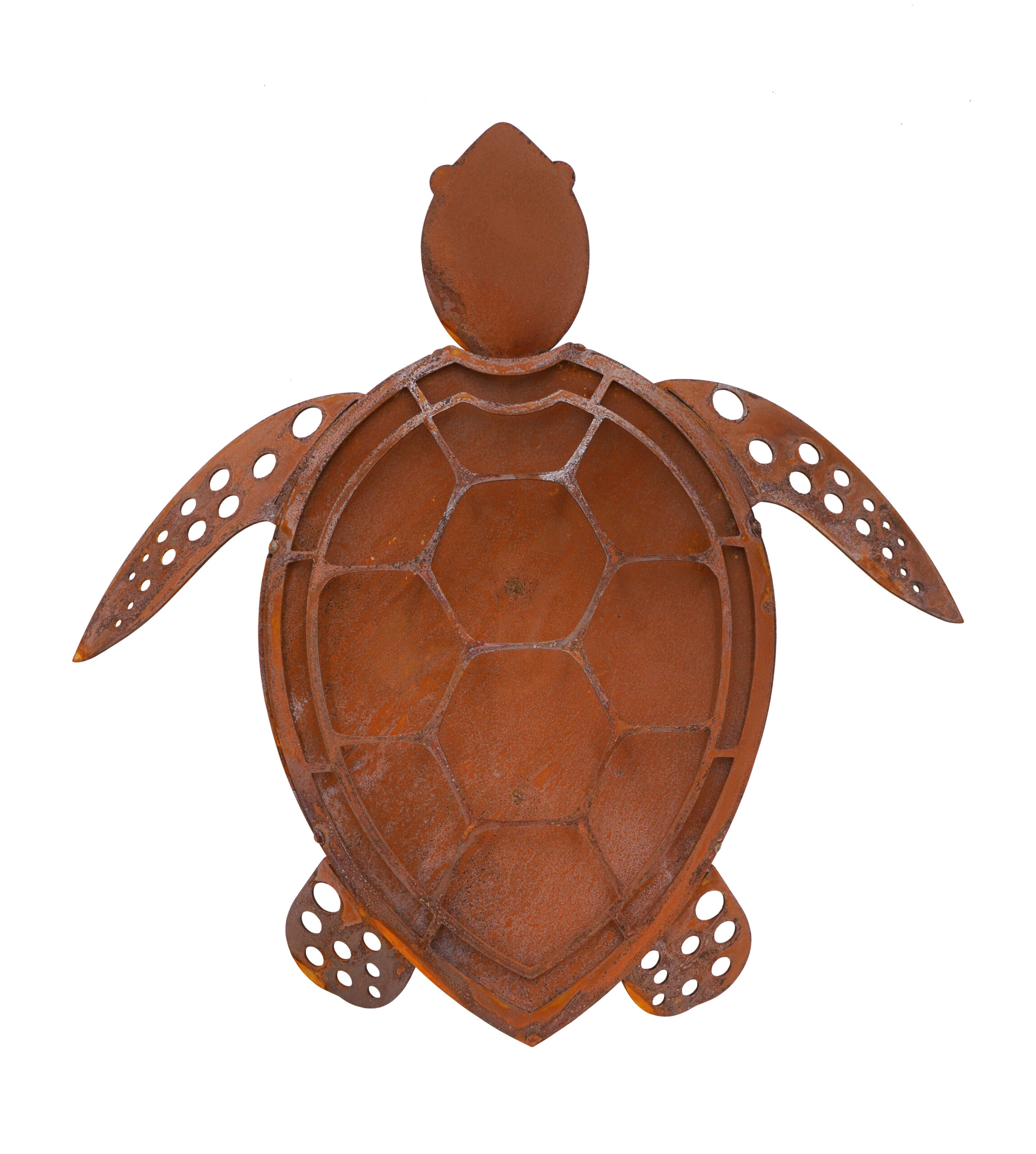 Edelrost Schildkröte Caruso - Länge 30 cm