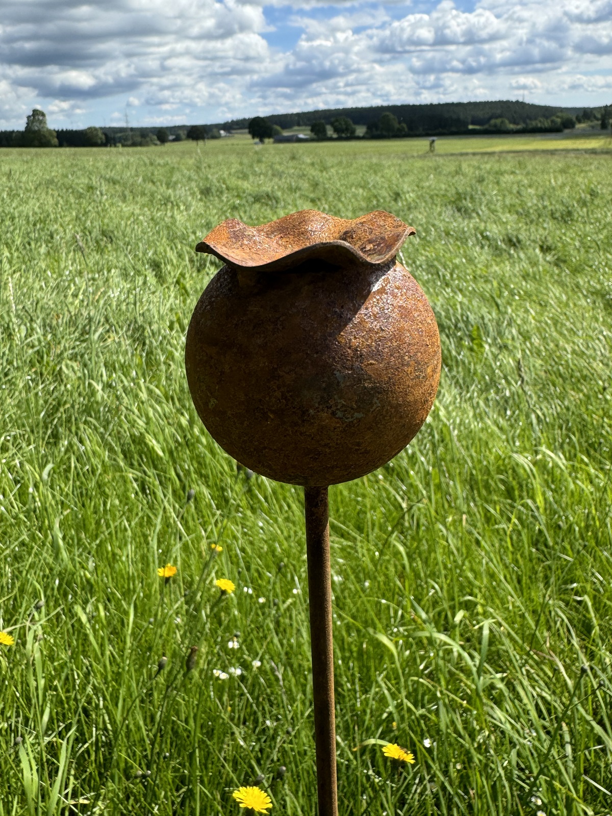 Edelrost Mohnkapsel D6cm groß auf Stab - Höhe 100 cm