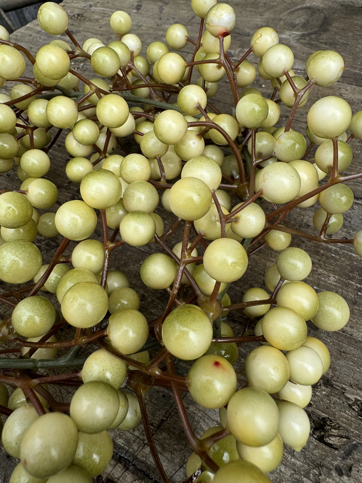 Künstlicher Beerenkranz creme/grün - Durchmesser ca. 24 cm