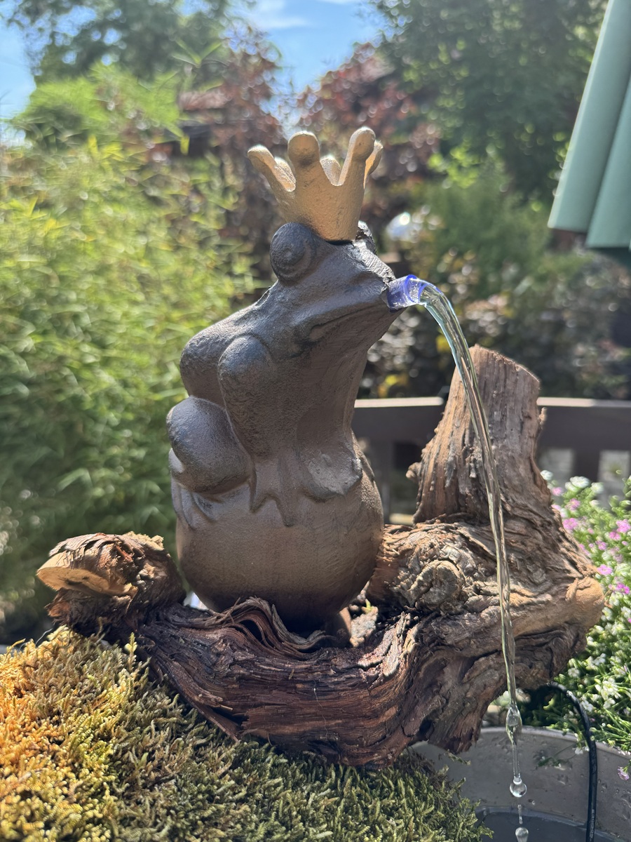 Wasserspeier Froschkönig Theo mit goldener Krone auf Kugel - Höhe 22 cm