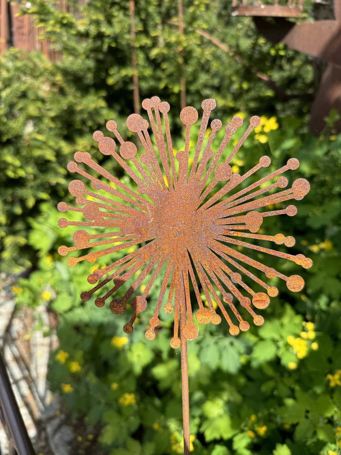 Edelrost Allium Topfstecker - Höhe 57 cm