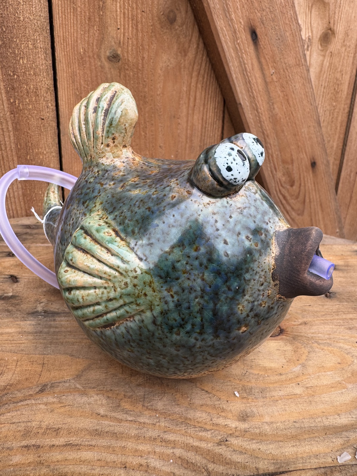 Wasserspeier Fisch Frido inkl. Pumpe - Höhe 13 cm
