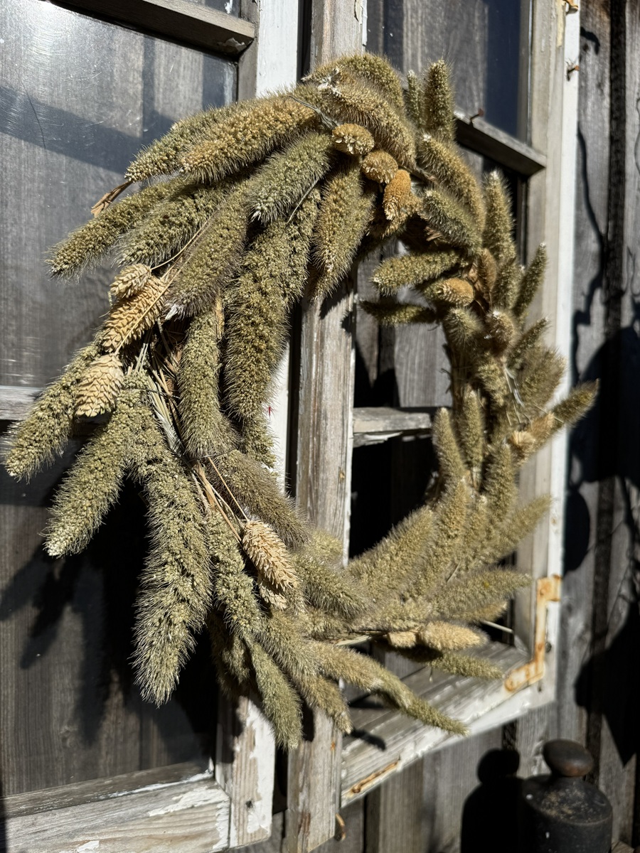 Kranz Setaria naturbelassen auf Strohrömer - Durchmesser ca. 40 cm