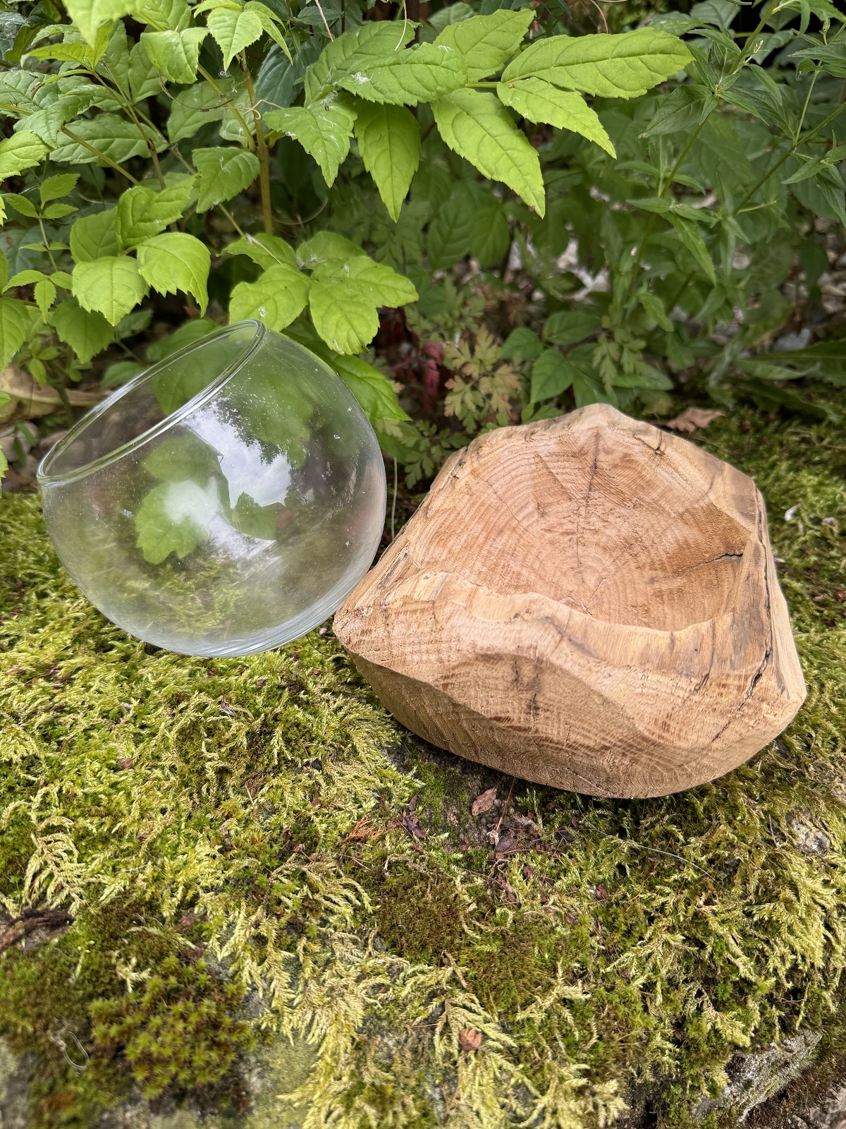 Holz Windlicht Davao mit Kugelglas Vase - Breite 18 cm