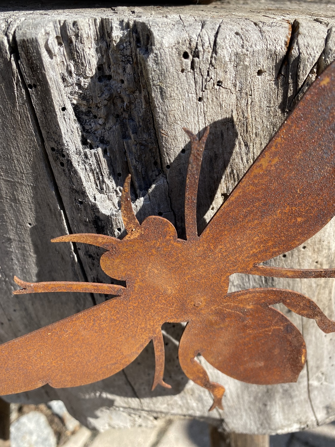 Edelrost Biene Lydia (neue Form) mit Schraube für Holz