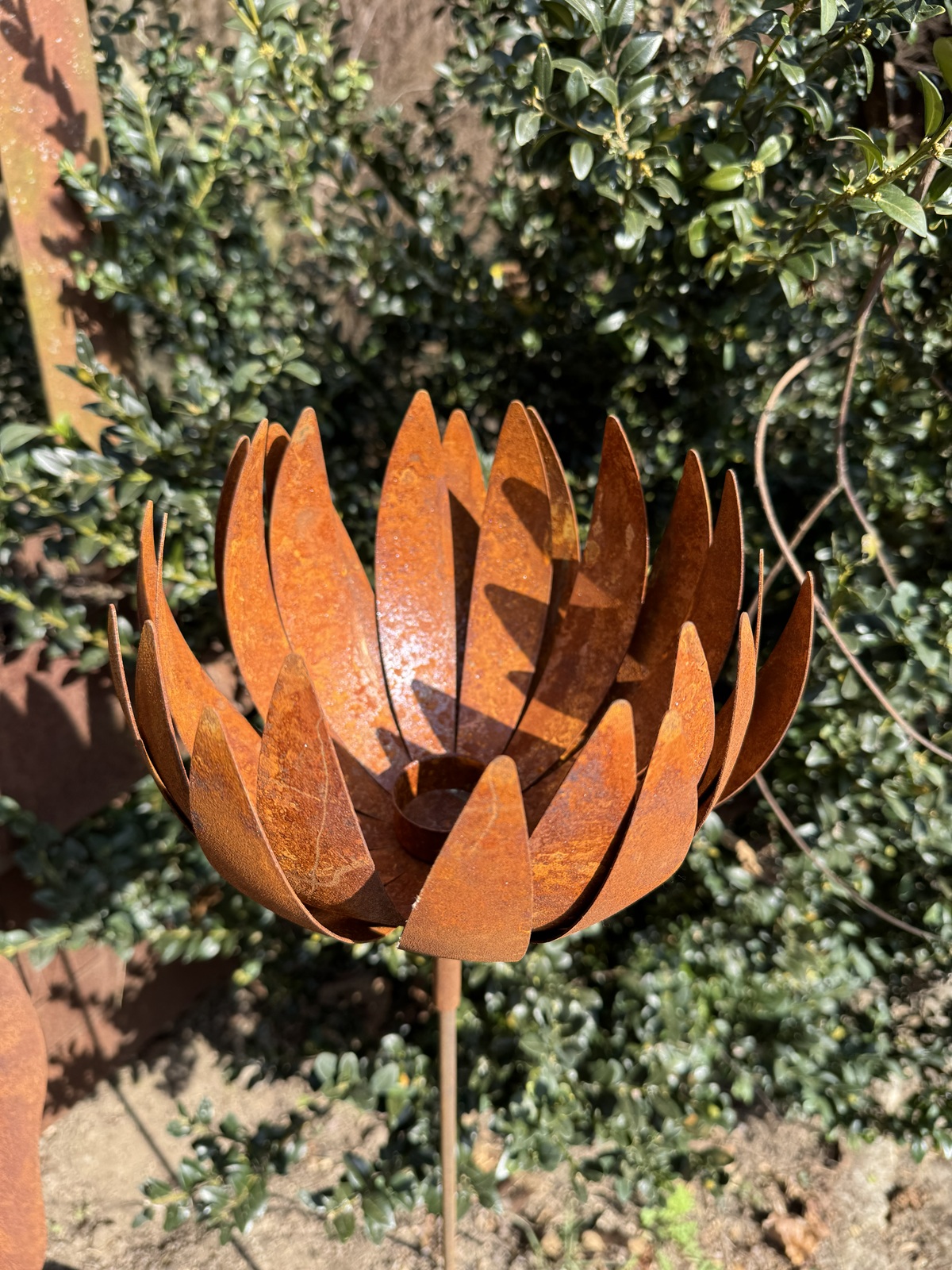 Edelrost Chrysantheme mit Teelichthalter und Hülse - Durchmesser offen ca. 32 cm