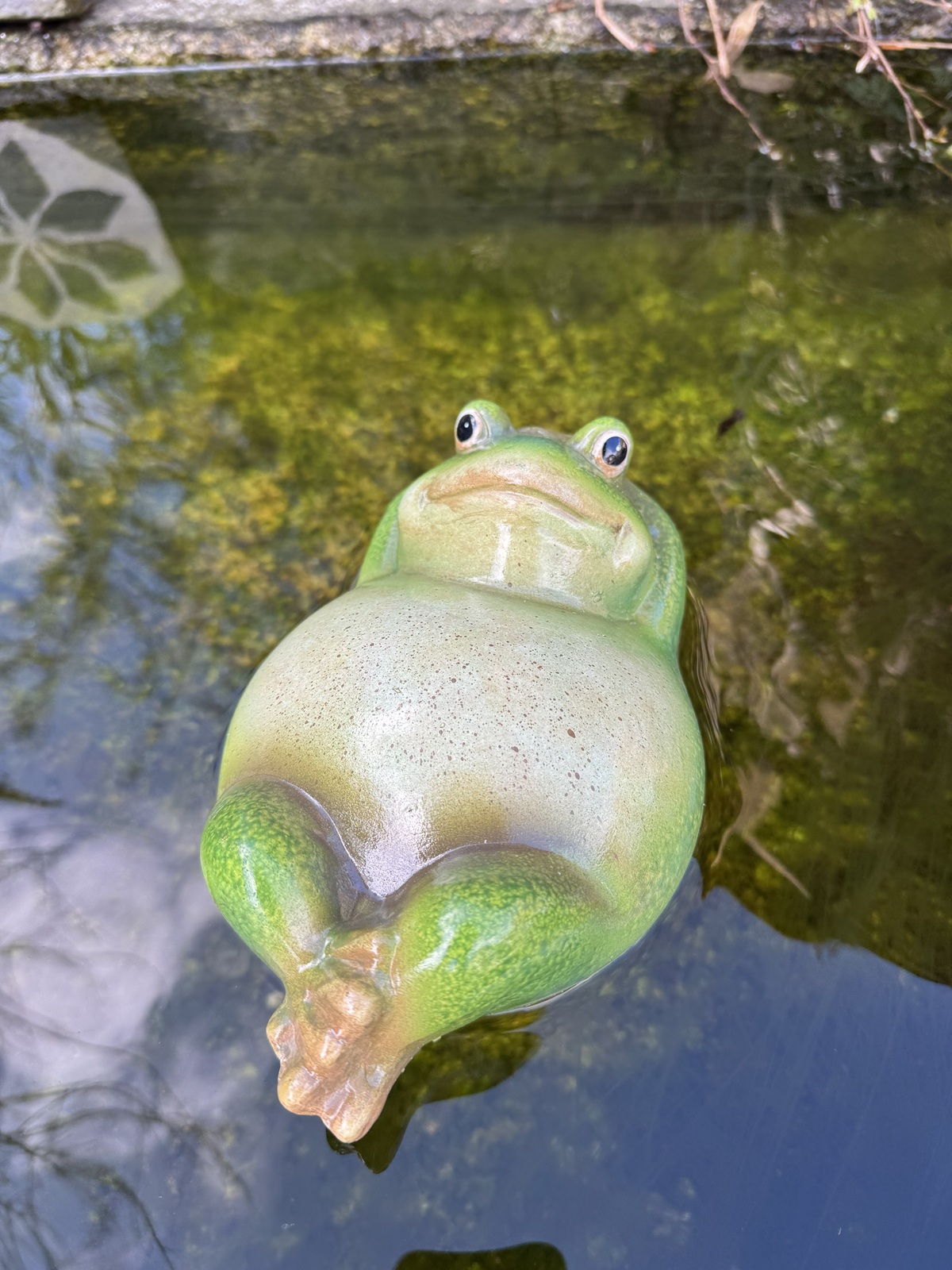 Keramik Schwimmfigur Rückenschwimmer Frosch - Länge 20 cm