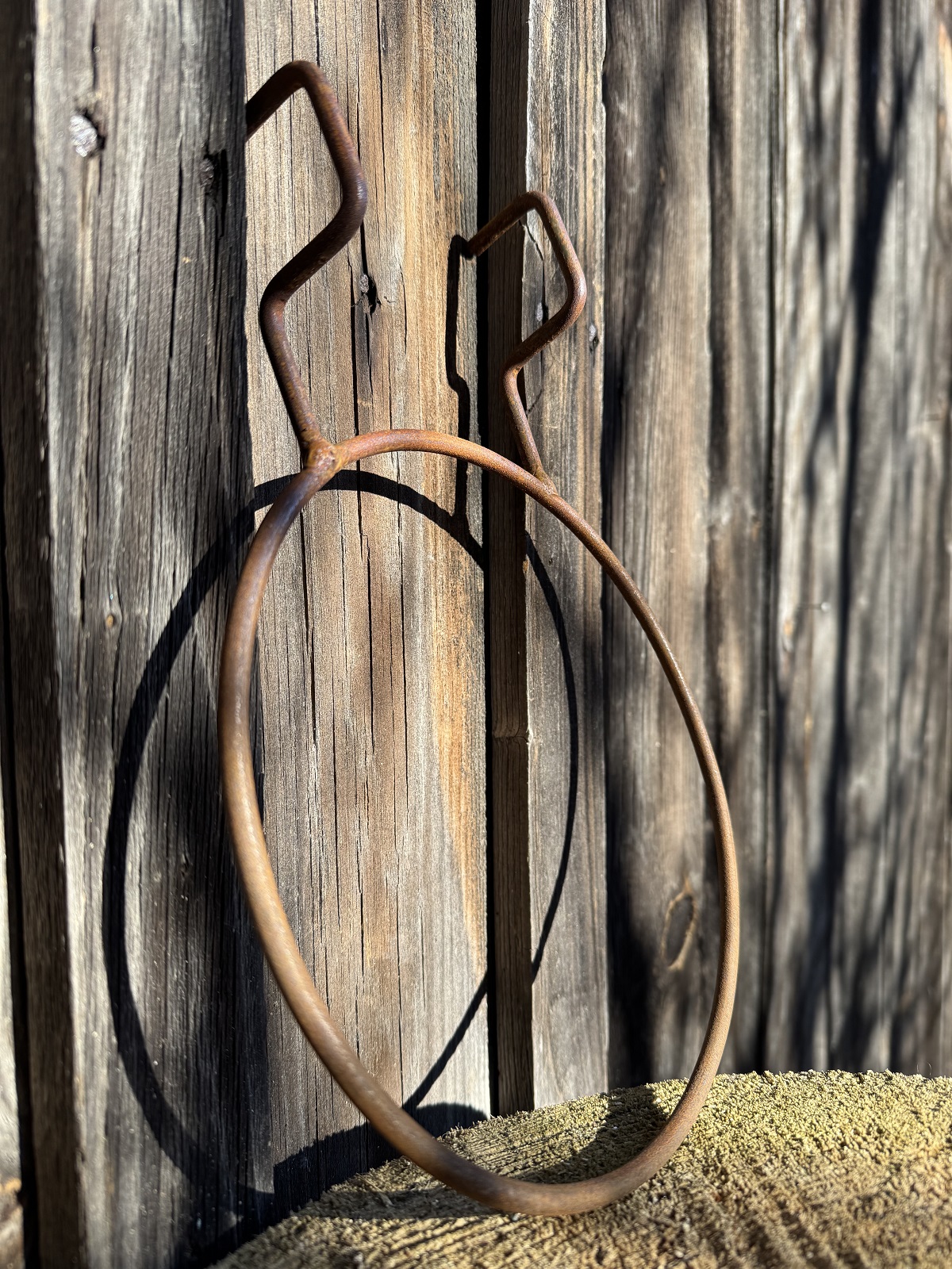 Edelrost Wandhalter Ring groß mit Haken für Blumentöpfe - Durchmesser 20 cm