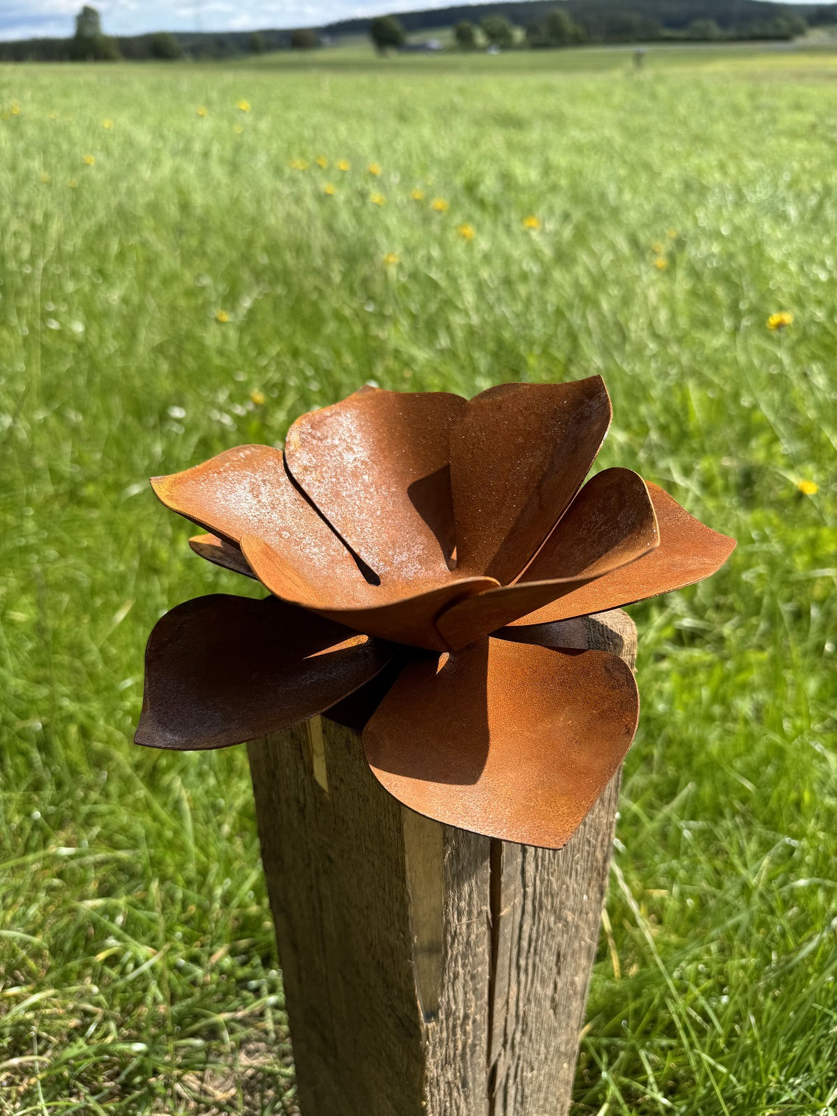 Edelrost Blüte groß auf Bodenplatte - Durchmesser 24 cm