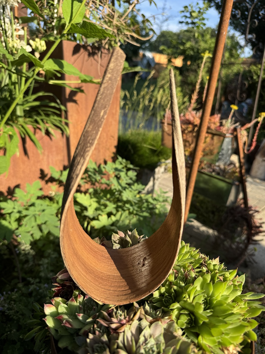 Cocos Schale natur - Höhe ca. 14 cm