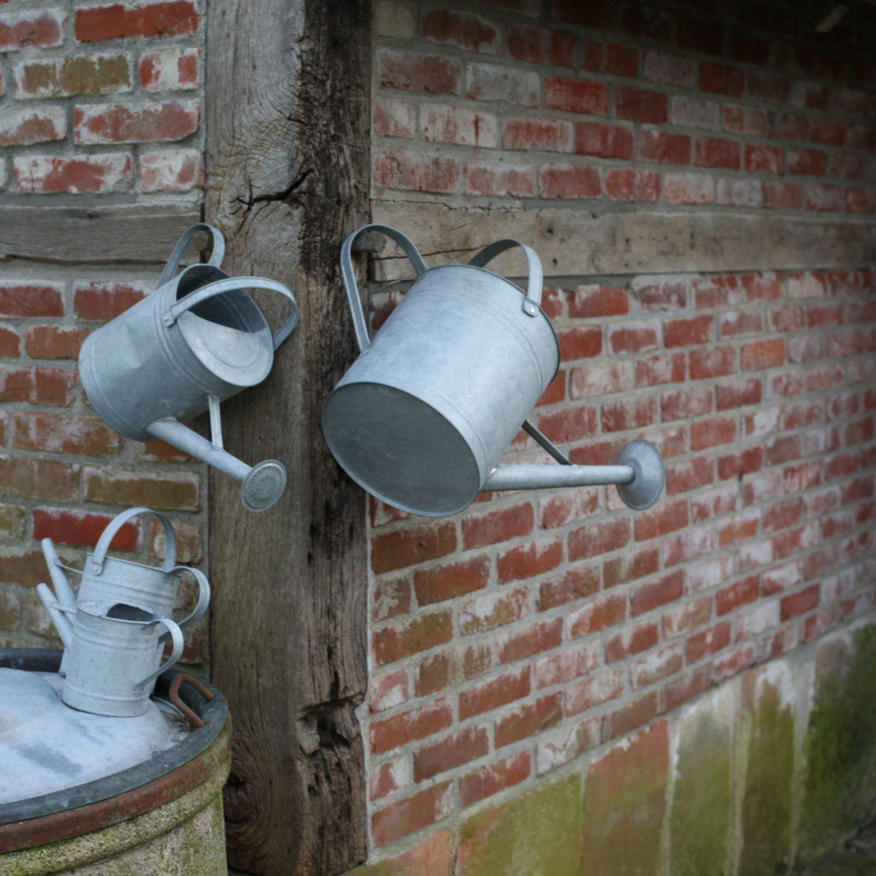 Zink Gießkanne mittel 6,5 Liter mit Brausekopf Liter - Höhe 29 cm