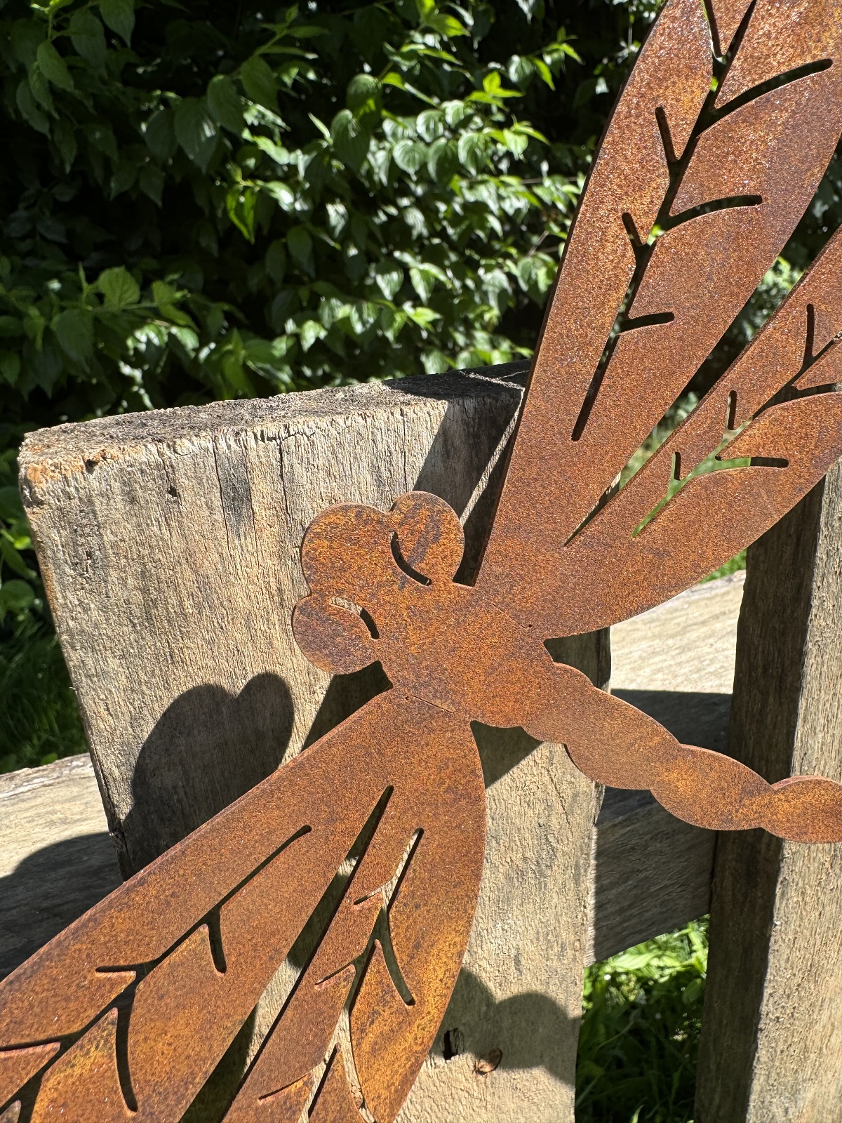 Edelrost Libelle groß mit Schraube für Holz - Breite 25 cm