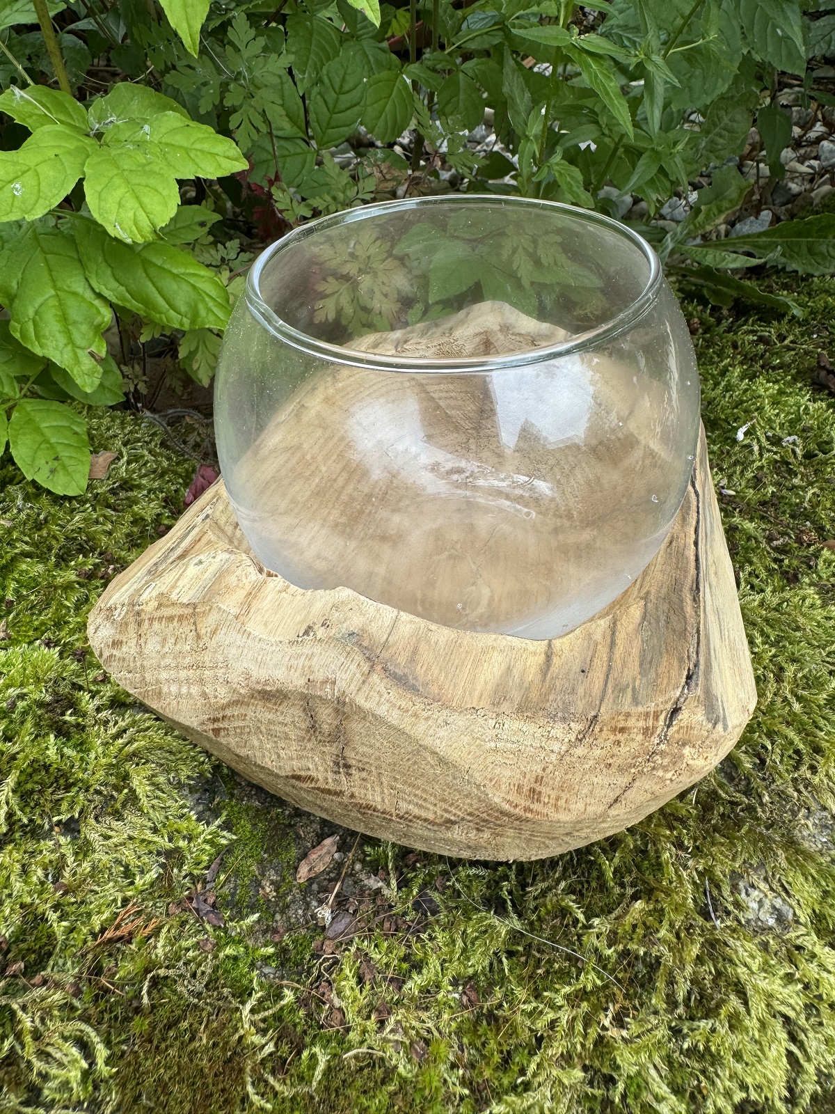 Holz Windlicht Davao mit Kugelglas Vase - Breite 18 cm
