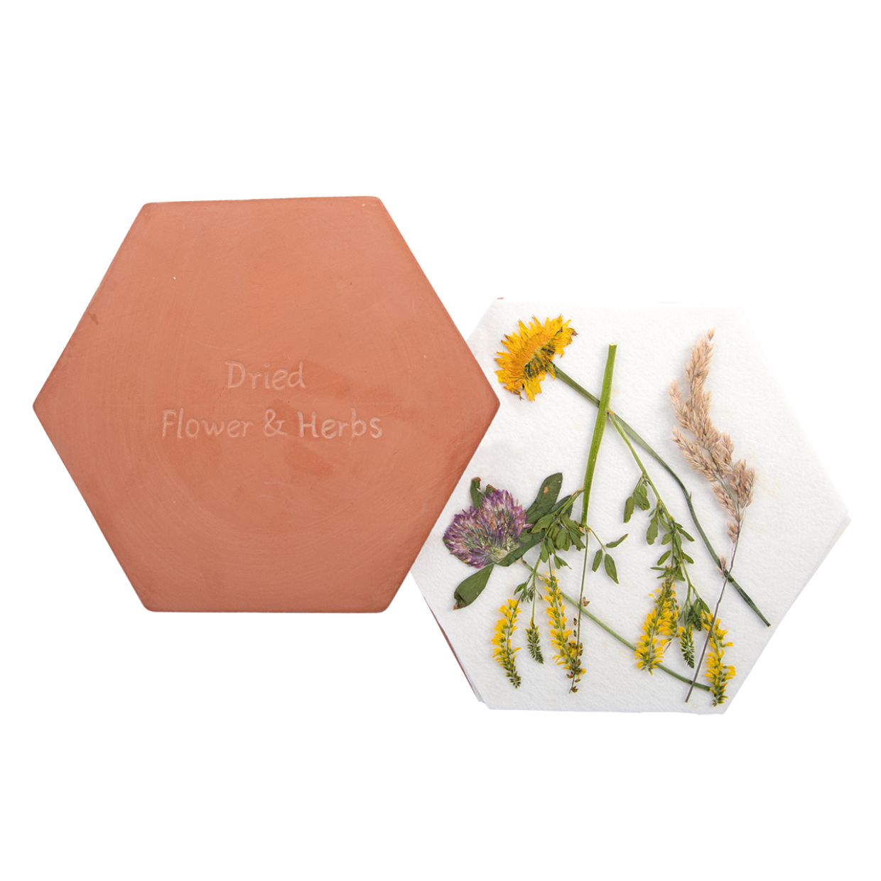 Blumen/Kräuterpresse für die Mikrowelle - Breite 19,4 cm