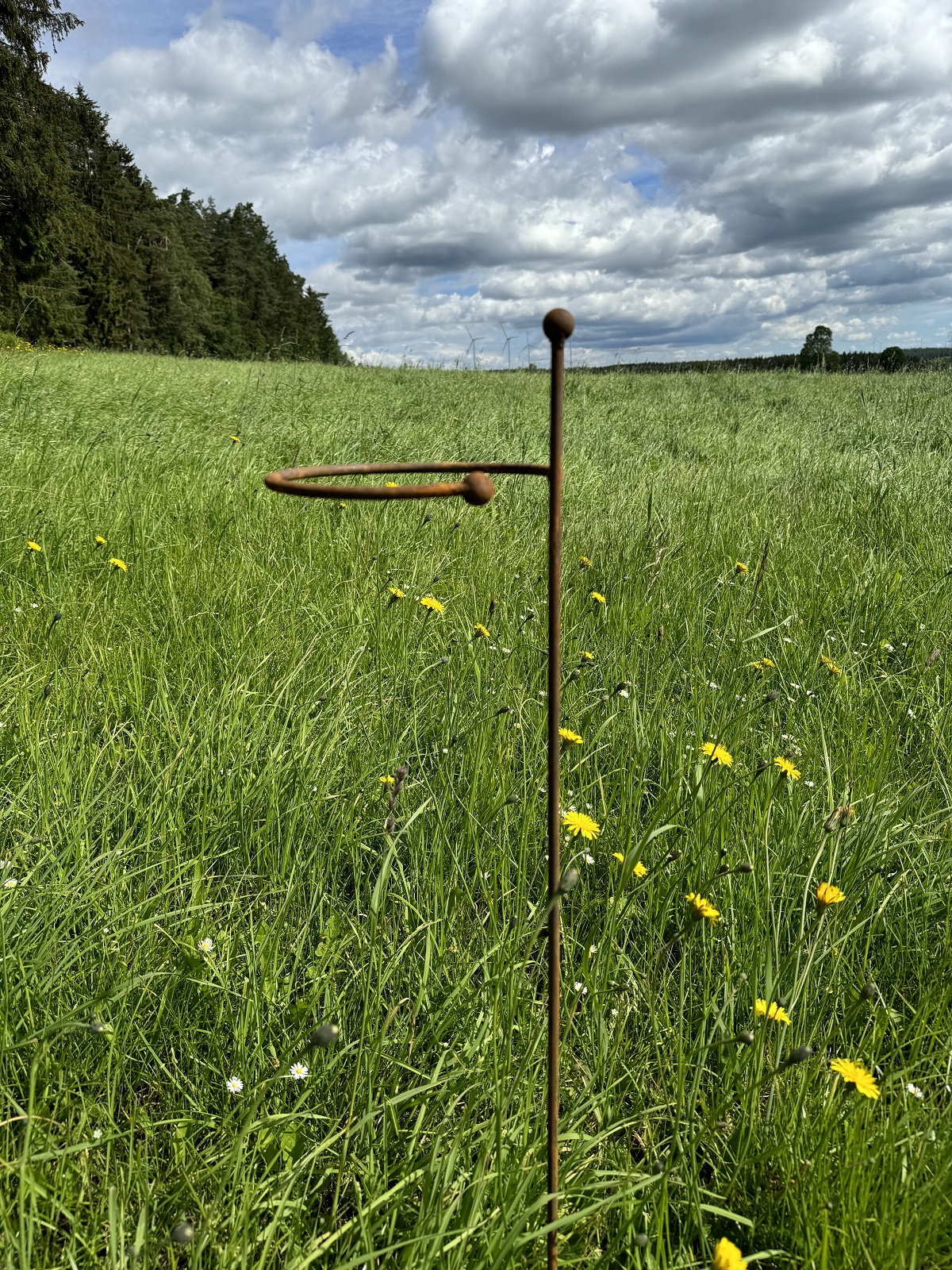 Edelrost Staudenhalter klein runde Form - Durchmesser 20 cm