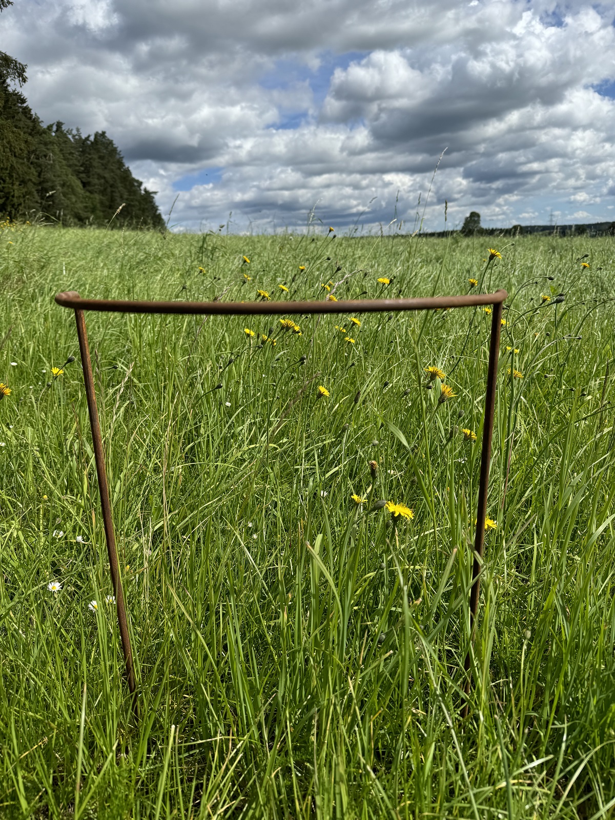 Edelrost Strauchhilfe groß - Durchmesser 40 cm