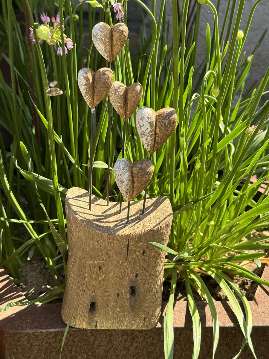 Treibholz Block naturbelassen mit 5 Herzen - Höhe ca. 29 cm