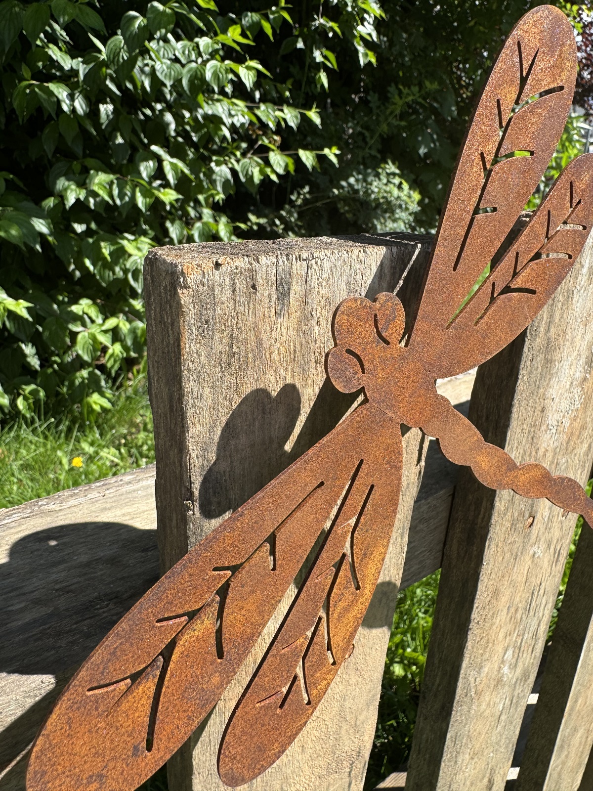 Edelrost Libelle groß mit Schraube für Holz - Breite 25 cm