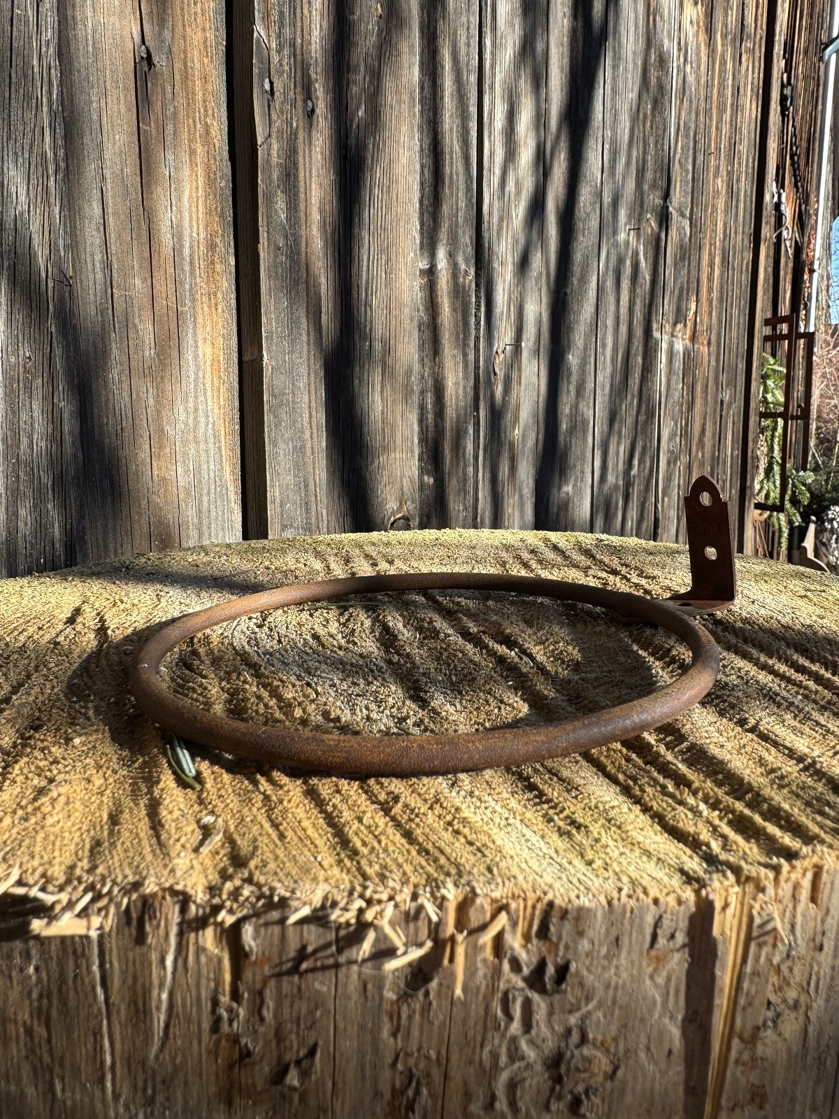 Edelrost Wandhalter Ring mittel für Blumentöpfe - Durchmesser 13,5 cm