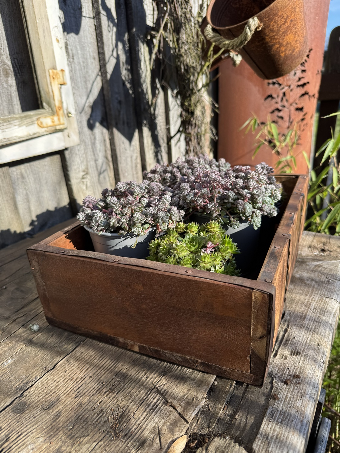 Holz Kiste mit Metallrahmen rostig - Länge 40 cm