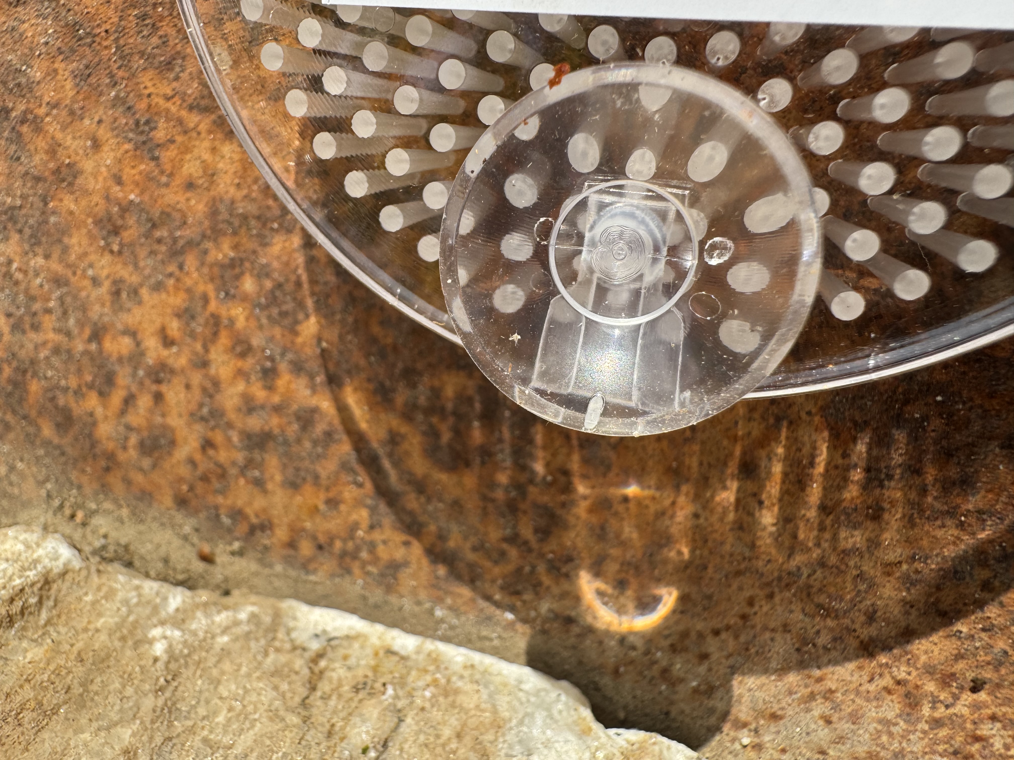 Kunststoff Steckigel transparent mit Saugnäpfen - Durchmesser 6,9 cm