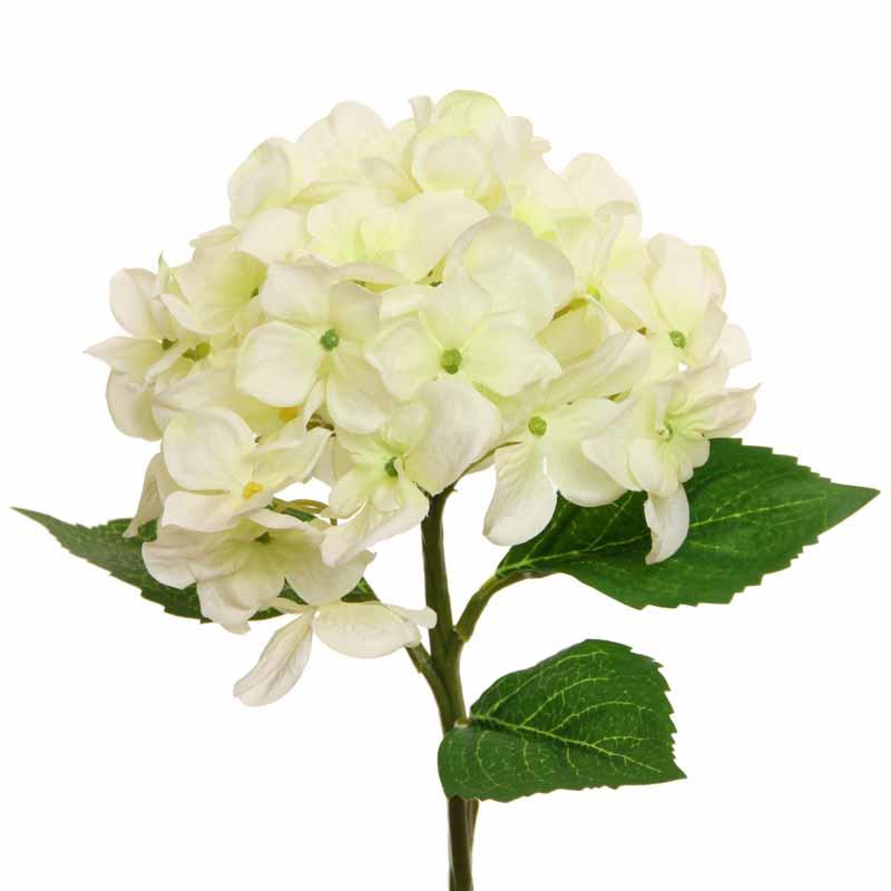 Seidenblume Hortensie creme - Länge ca. 36 cm