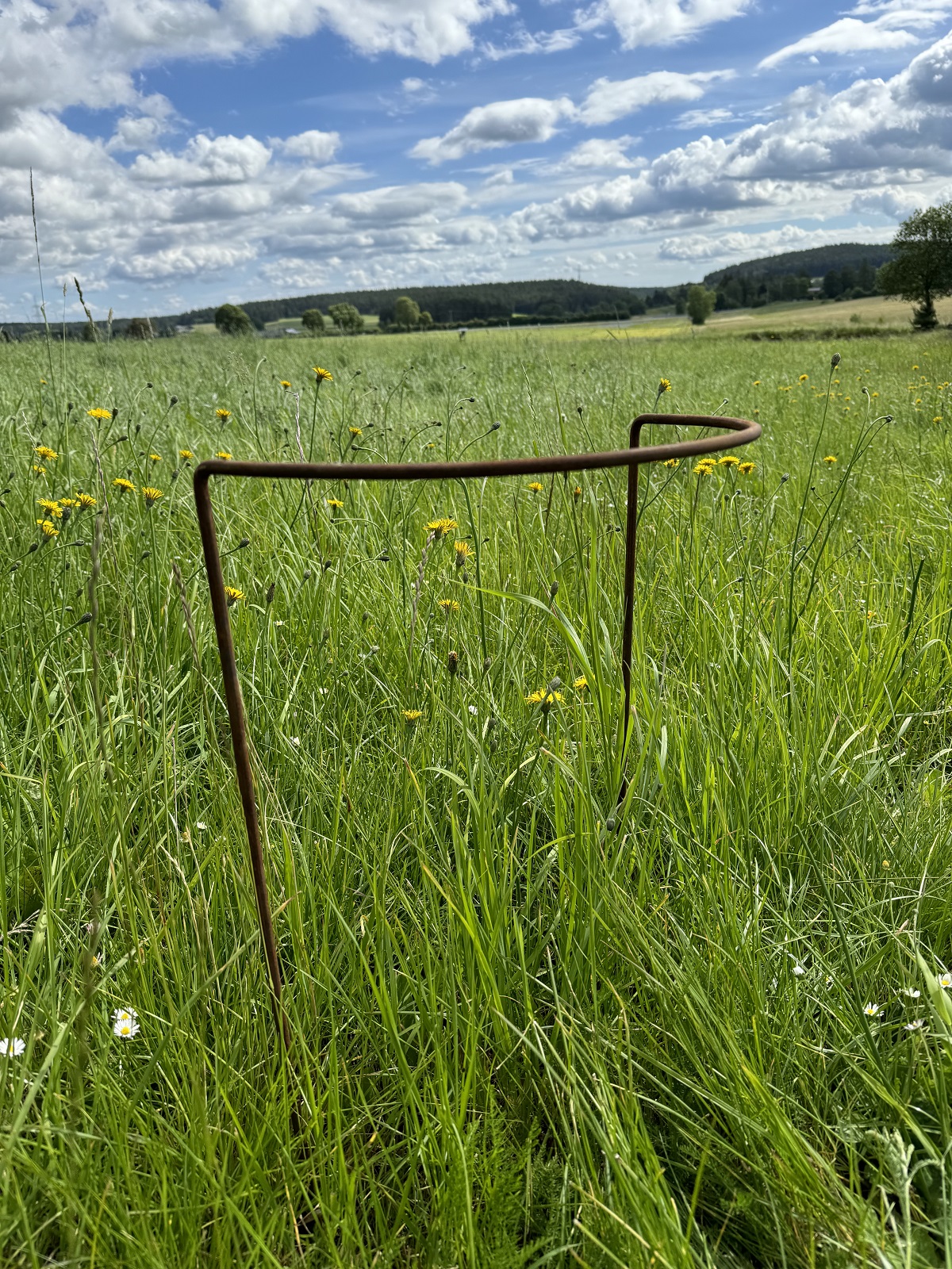 Edelrost Strauchhilfe groß - Durchmesser 40 cm