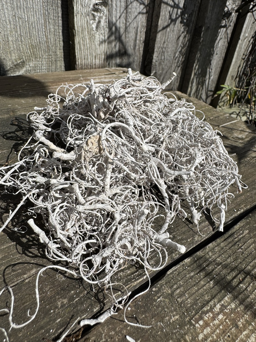 Curly Moos Weiß - 250g / Grundpreis 27,60 €/kg